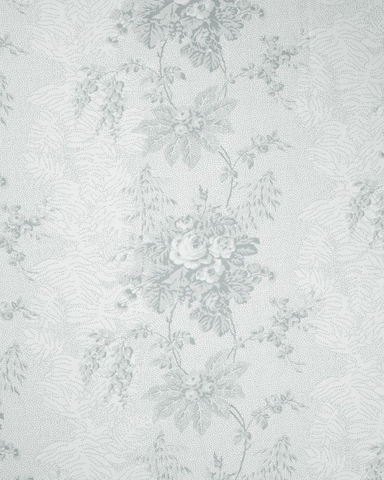 Charlotte Dove on White Linen