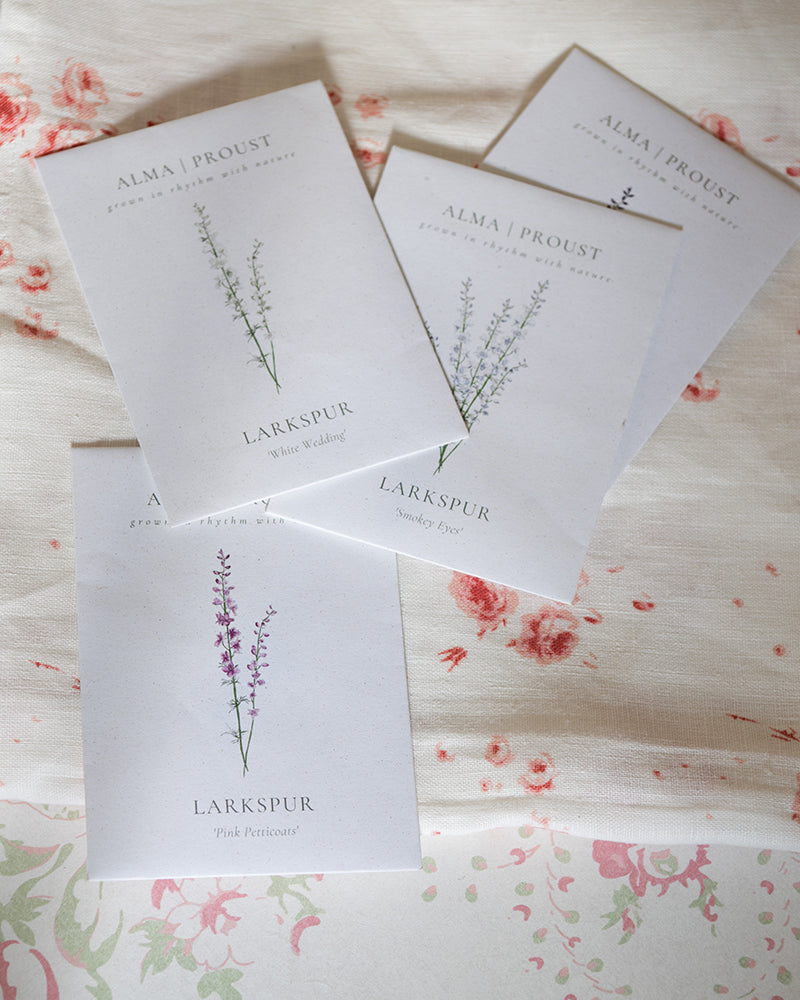 Summer Seeds